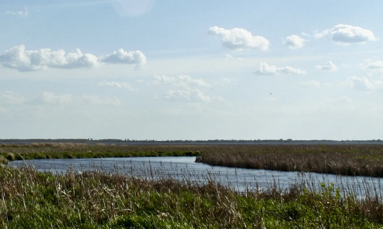 Downtown storefronts and streetscape in Perham