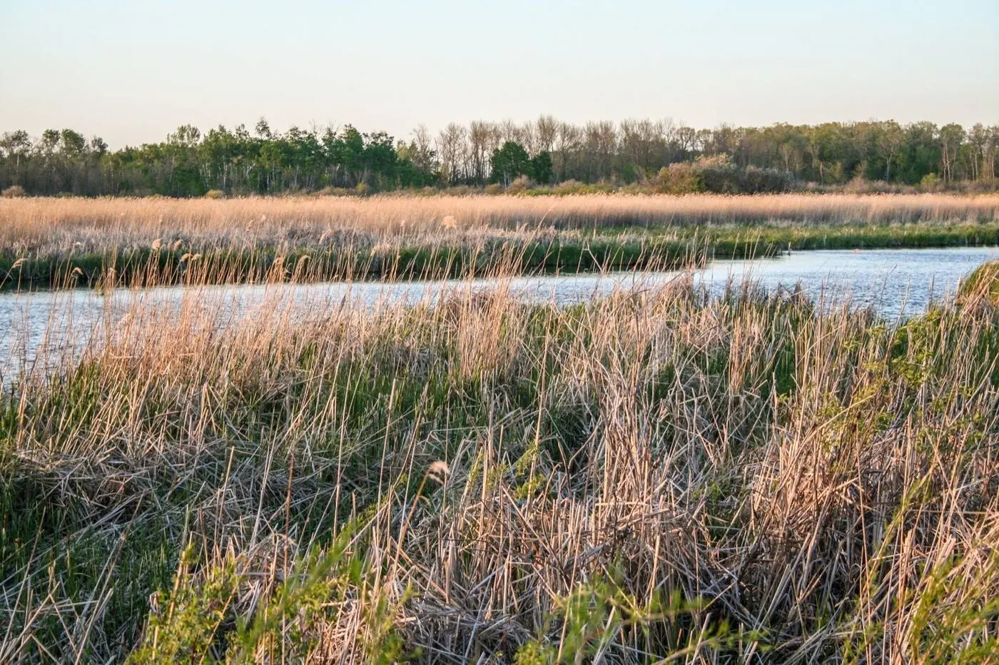 Historic City Hall building in Perham